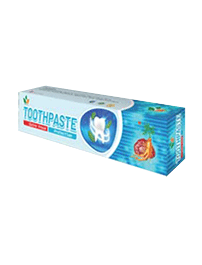 Net Fresh Toothpaste (100gm)